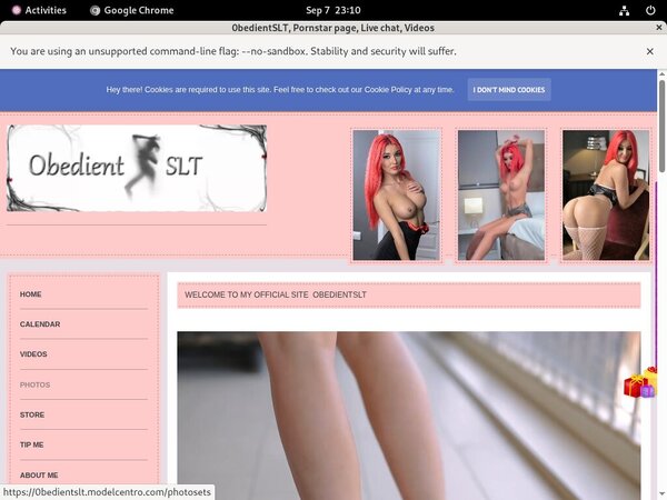 0bedientSLT Free Ones