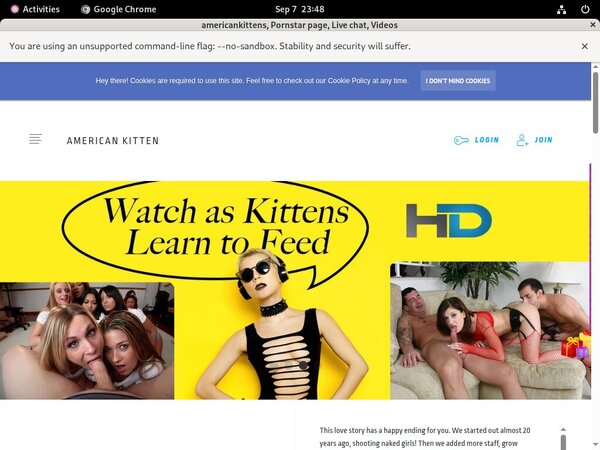 Americankittens Renew
