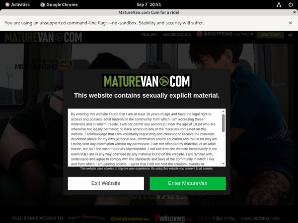 Big Mature Van