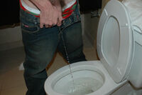Boys-pissing.com Premium Login s6