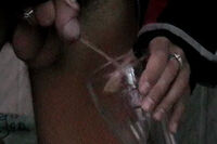 Boys-pissing.com gay porn stars