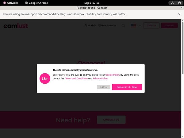 Camlust.com Paysites Reviews