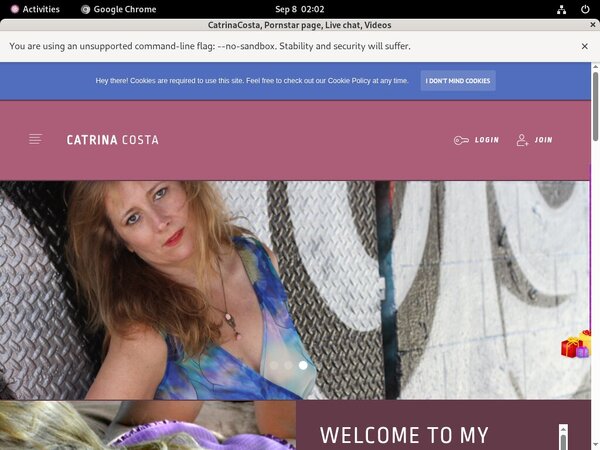 CatrinaCosta Password Blog