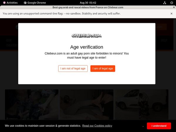 Citebeur Working Passwords