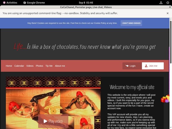 CoCoChanel Login Passwords