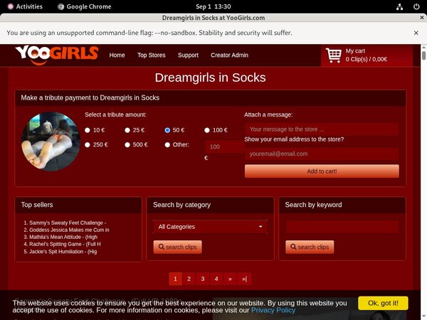 DreamgirlsInSocks Password Info