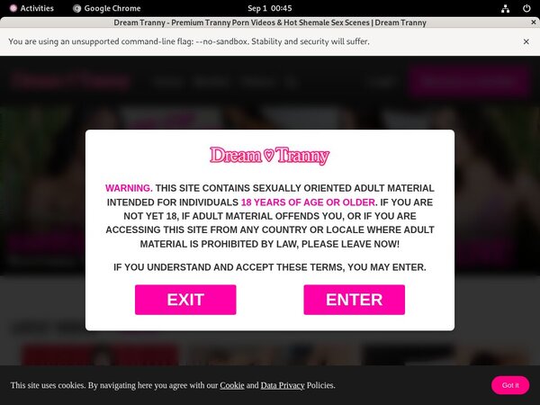 Dreamtranny.com Free Trial Discount