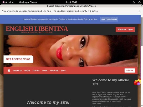 Englishlibentina.modelcentro.com Bankeinzug