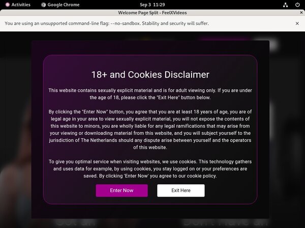 Feel X Videos Free Premium Passwords