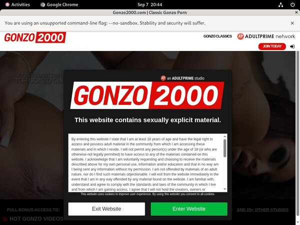 Free Account Of Gonzo 2000
