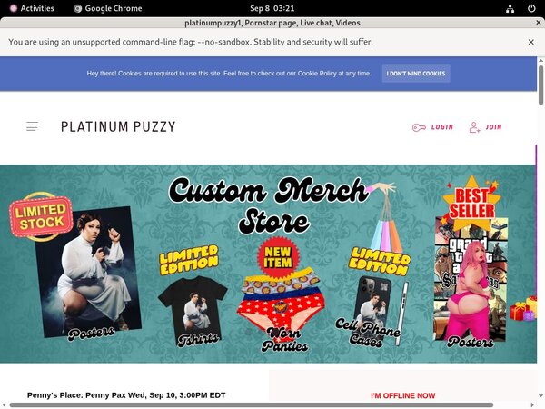 Free Logins Platinumpuzzy1
