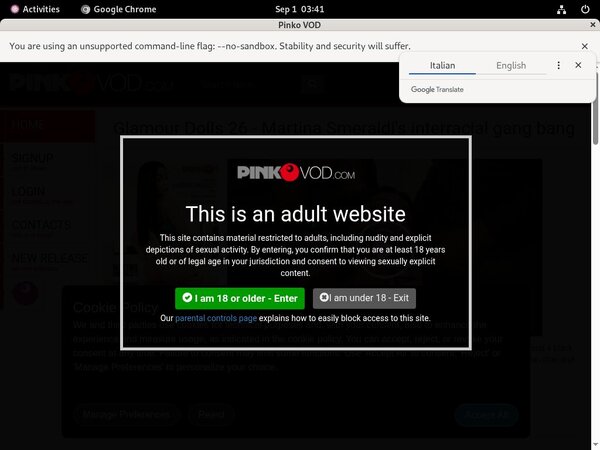Free Pinkovod Logins