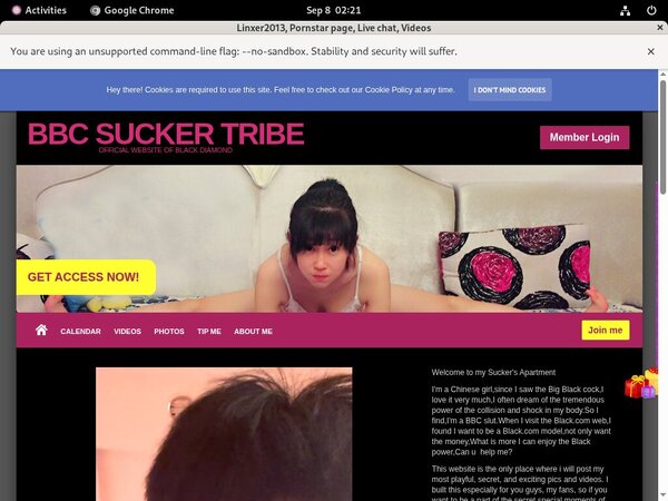 Free Working Linxer2013.modelcentro.com Logins