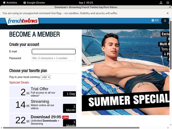 French-twinks.com Daily Accounts