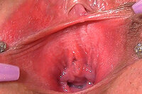 Gape My Pussy Checkout s2