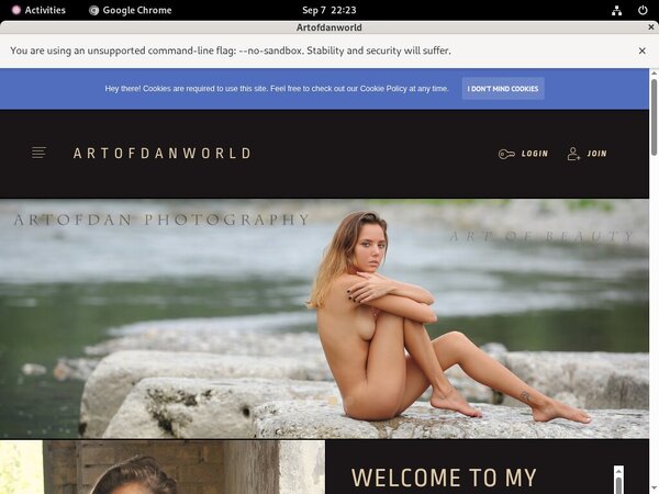 Get Free Artofdan Membership
