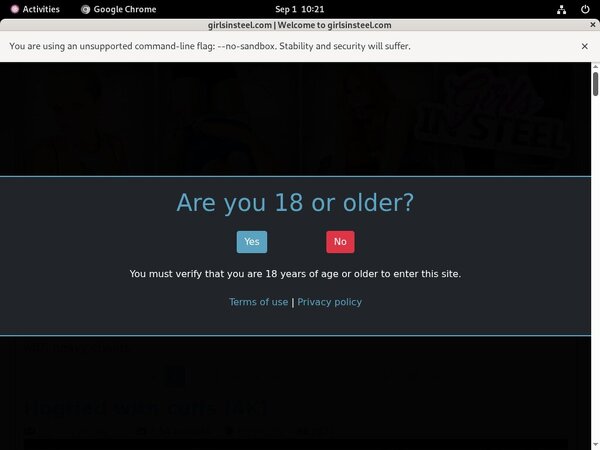 Girls In Steel Web Billing