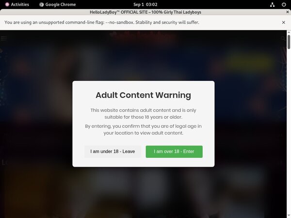 How To Get Helloladyboy.com Account