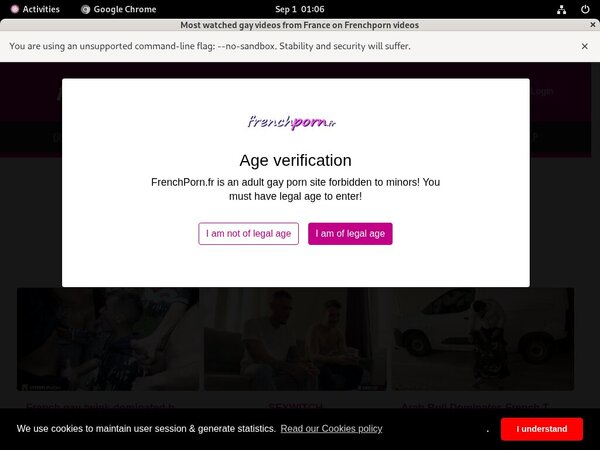 How To Get Into Frenchporn.fr Free