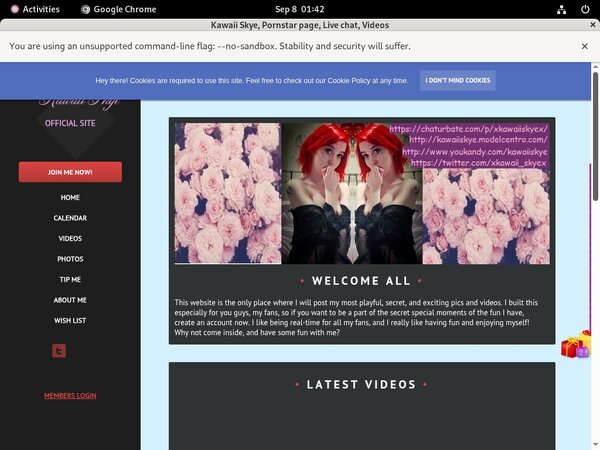 Kawaii Skye Sex Movies