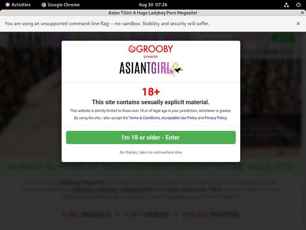 Ladyboy-ladyboy.com User Pass