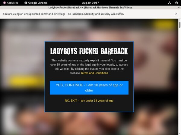 Ladyboysfuckedbareback Discount Id