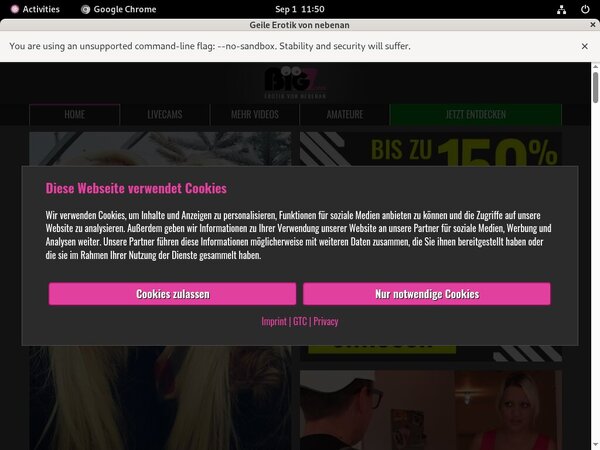 LindaKiss.com Video Download