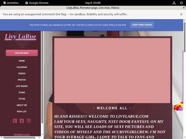 Livylarue.modelcentro.com Com Discount