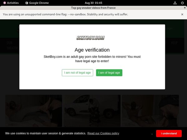 Logins For Sket Boy