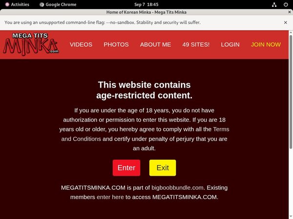 Megatitsminka.com Site