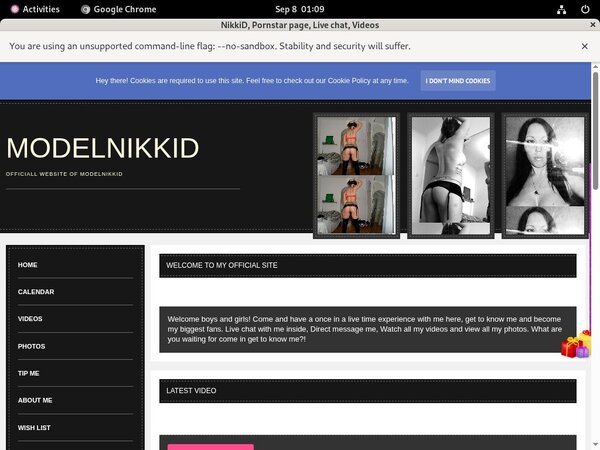 NikkiD Premium Passwords