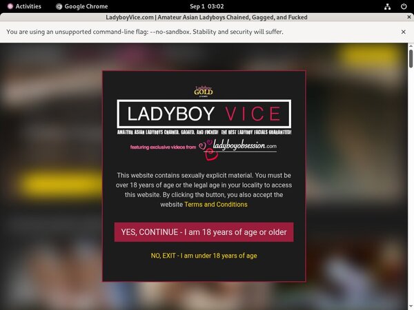 Photo Ladyboy Vice