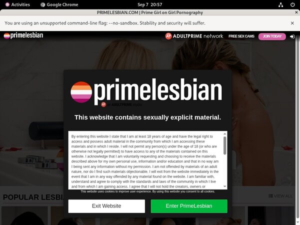 Prime Lesbians Usernames