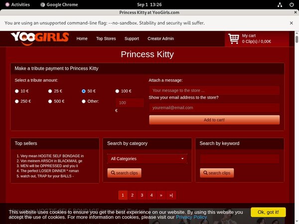 Princess Kitty With Credit Card