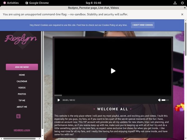 Rozlynn.modelcentro.com ??