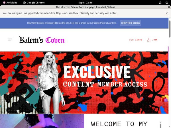 Salem Mistress The Epoch Salem Mistress The Epoch