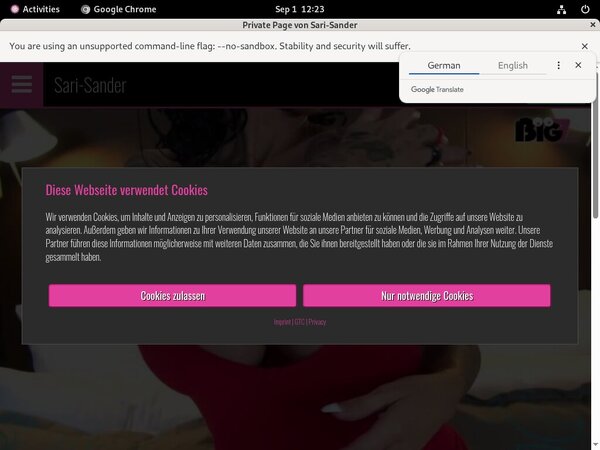 Sari Sander Cheap Offer