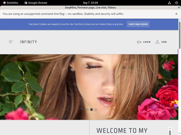 SexyMinx Accounts Working