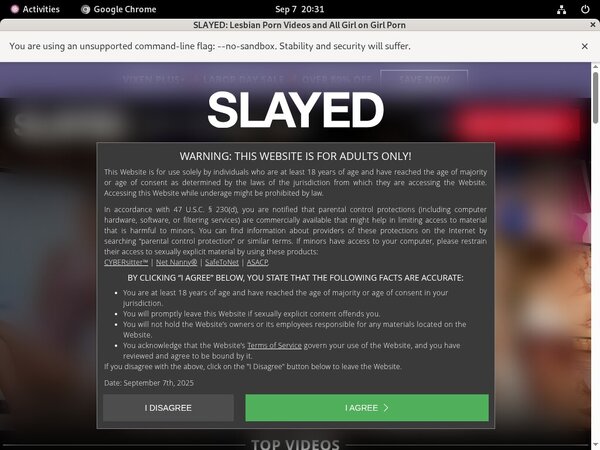 Slayed Billing Page
