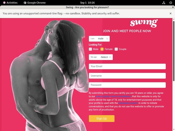 Swing.net Free Porn