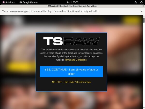 TS Raw Gratuito