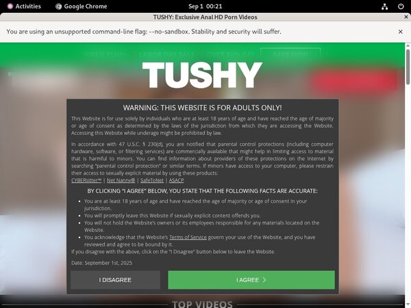 Tushy Webcams