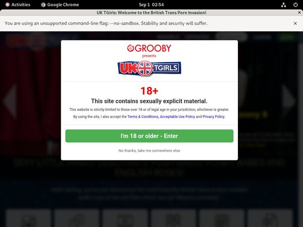 UK TGirls Password Hack