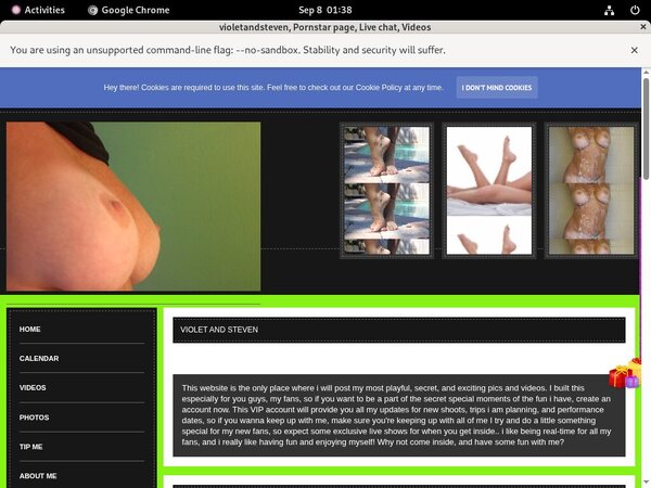 Violetandsteven Webcams