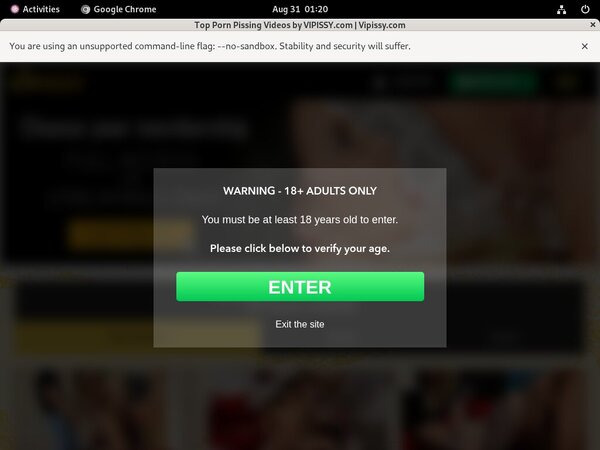 Vipissy Porn Hub
