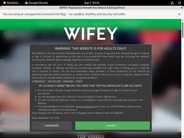 Wifey For Tablet