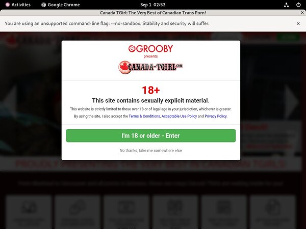 Canada-tgirl.com Stolen Password