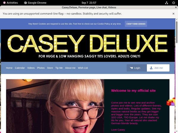 Free Working Casey Deluxe Account