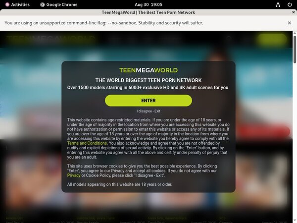Teenmegaworld.net Login Information