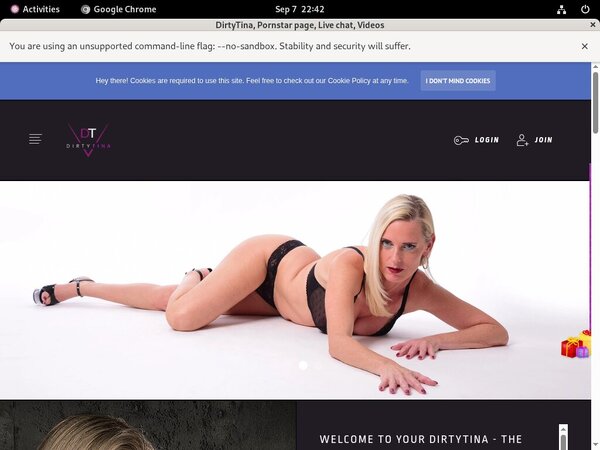 Dirtytina.site Save 50% On 30Day Pass